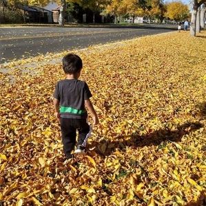 Meet your Posher, Atong mwenene